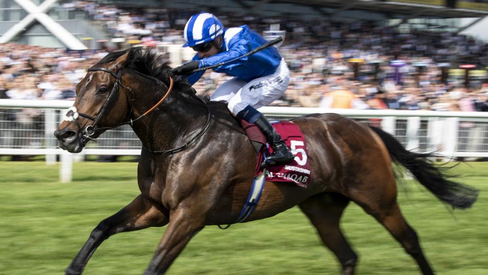 Sir Michael Stoute